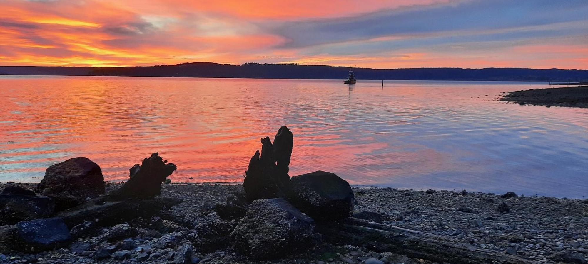 The Waterfront At Potlatch Motel Shelton Buitenkant foto