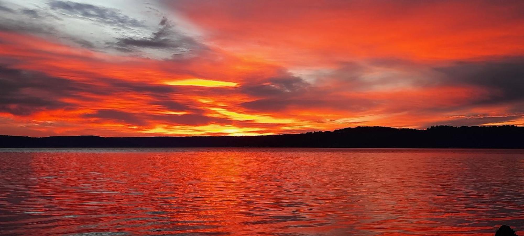 The Waterfront At Potlatch Motel Shelton Buitenkant foto